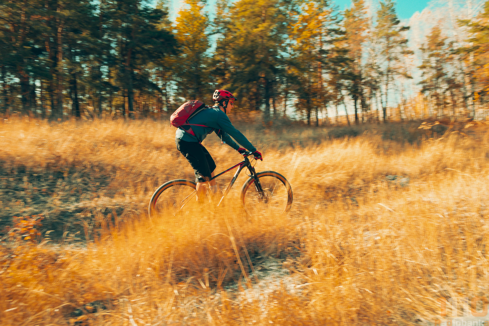 My photos from cycling Burkin Gully/Kolotov Gully 10/20/20 - My, Bike ride, The photo, Lightroom, Nikon, Nikon d3100, Longpost