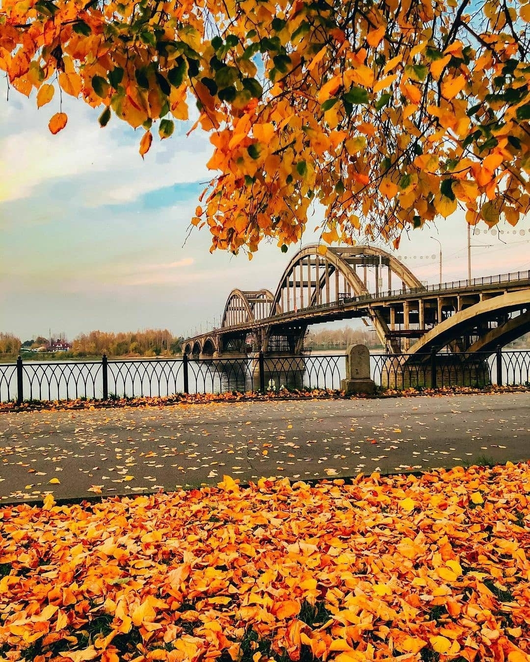 Rybinsk - Russia, The photo, Autumn, Rybinsk, Nature, Town, Bridge, River, Longpost