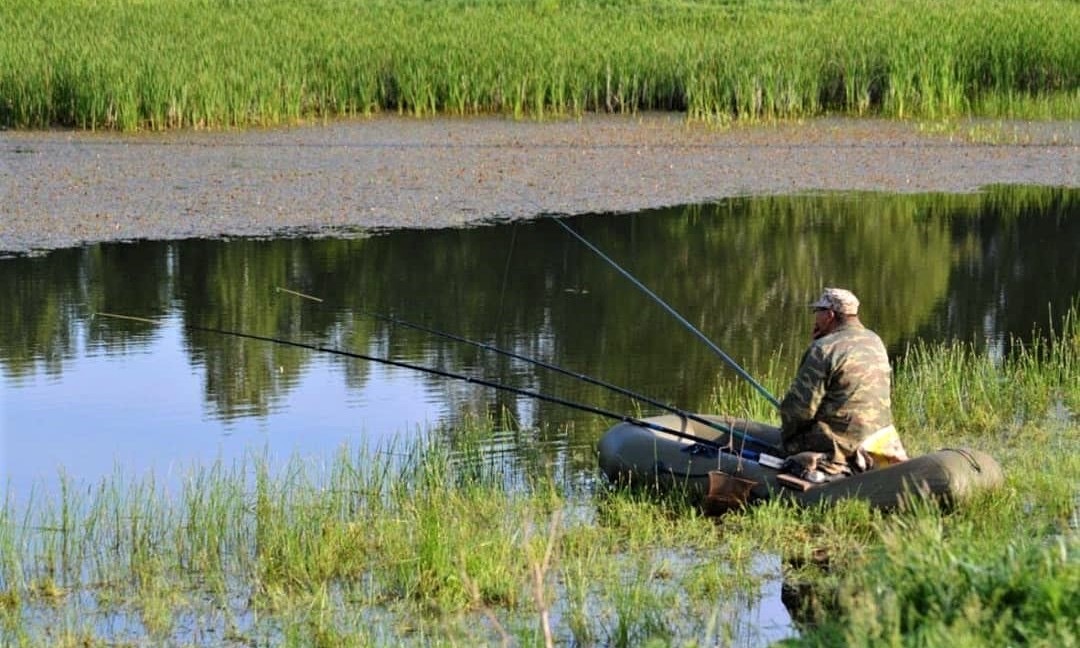 What do you need for fishing in the Czech Republic? - My, Fishing, Hunting and fishing