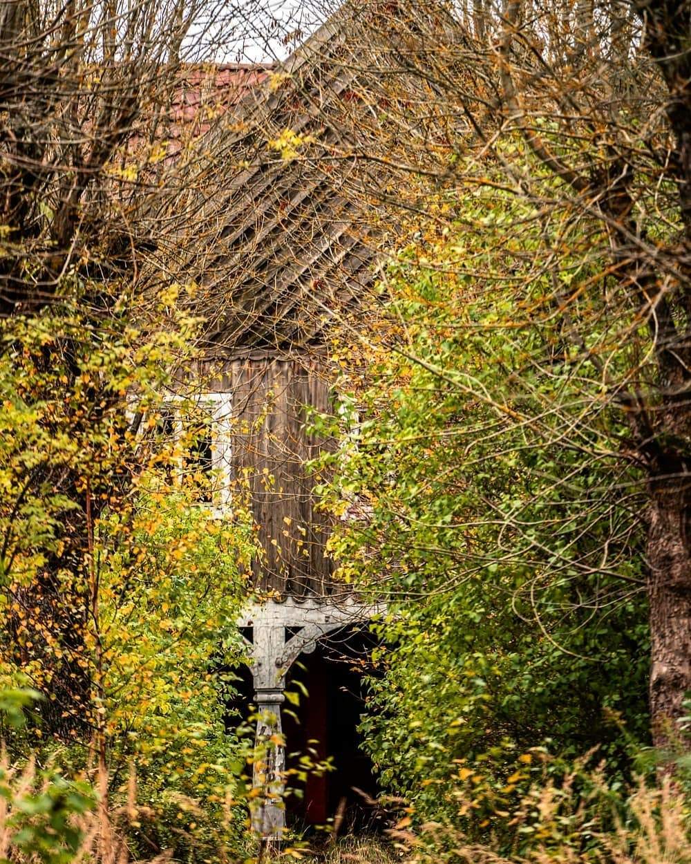 Abandoned military unit in Gorodkovo (Kaliningrad region) - Kaliningrad, Kaliningrad region, Story, The photo, Military unit, Longpost