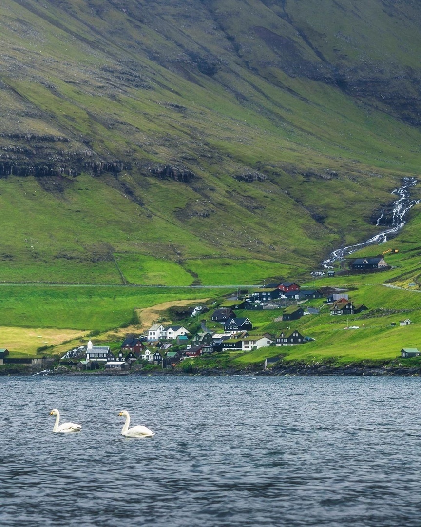 The beauty of the Faroe Islands - Faroe islands, Seasons, Nature, Snow, Grass, Goat, beauty of nature, The photo, Longpost