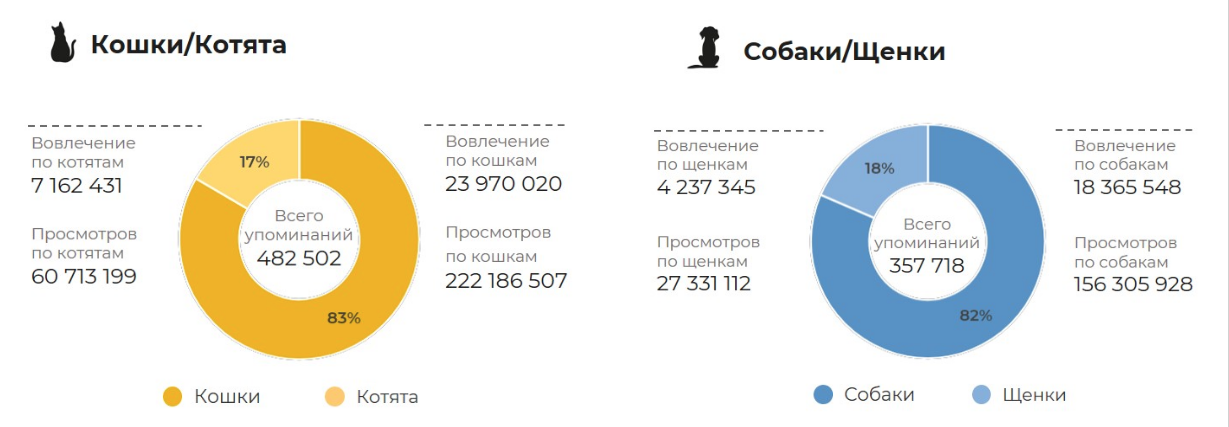 Cats vs dogs: who do social network users prefer? - cat, Cats and dogs together, Dog, Social networks, Research, Statistics, The national geographic, Longpost