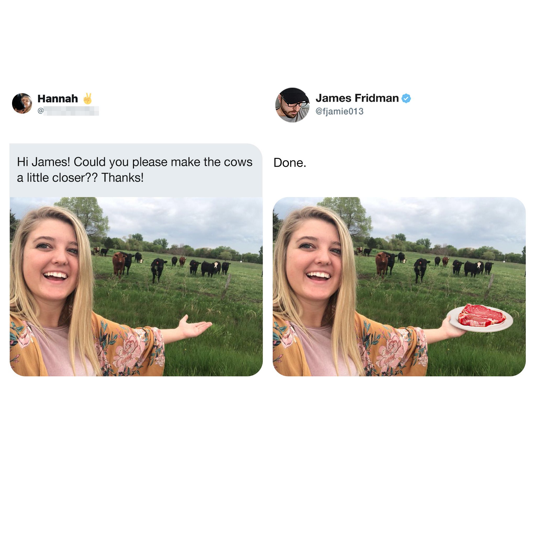 Cute photo - The photo, Girls, Cow, Meat, Photoshop, Humor, James Friedman, Screenshot