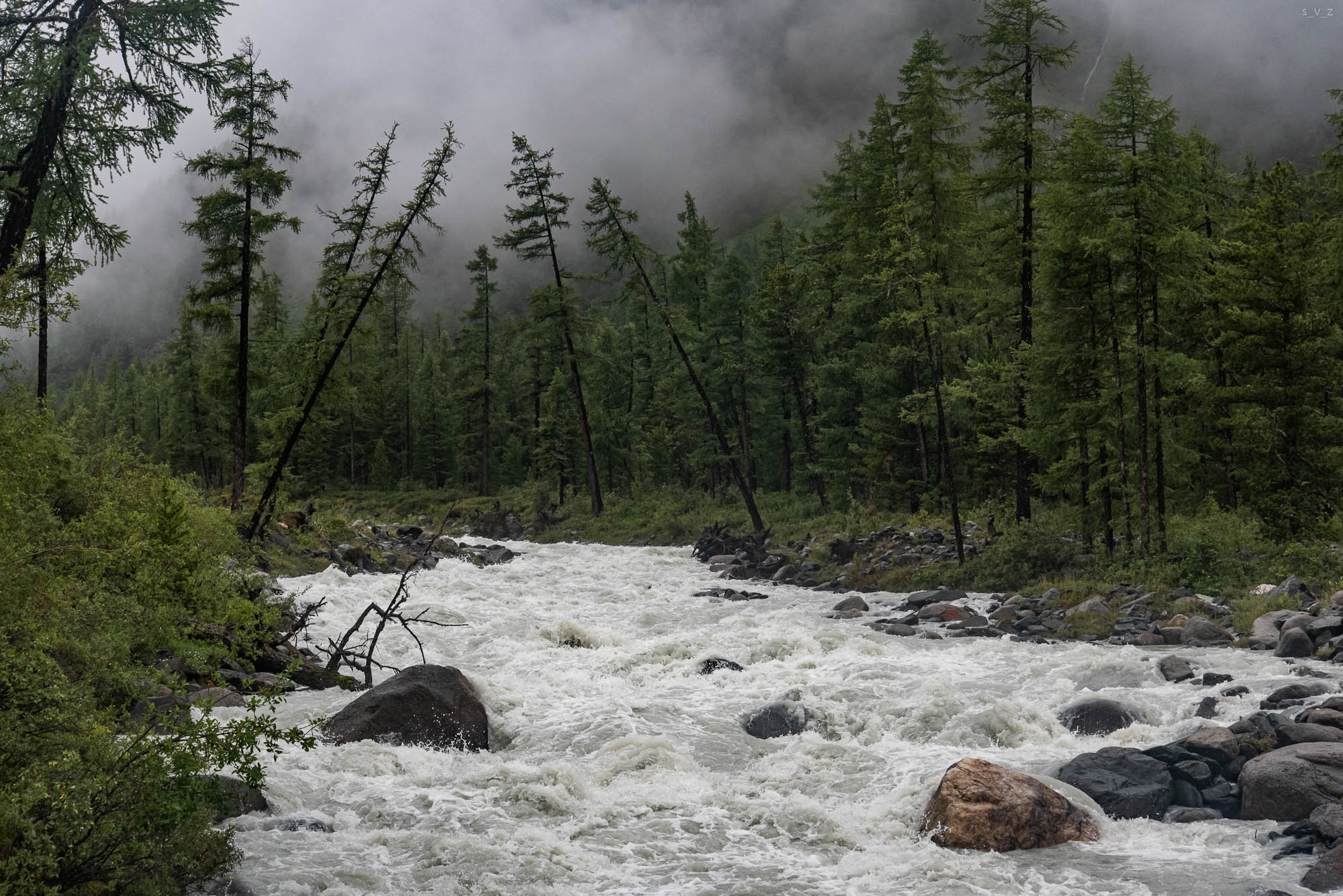 Rivers of Altai - My, The photo, Nature, The nature of Russia, Altai Republic, Tourism, Travels, beauty of nature, River, Longpost