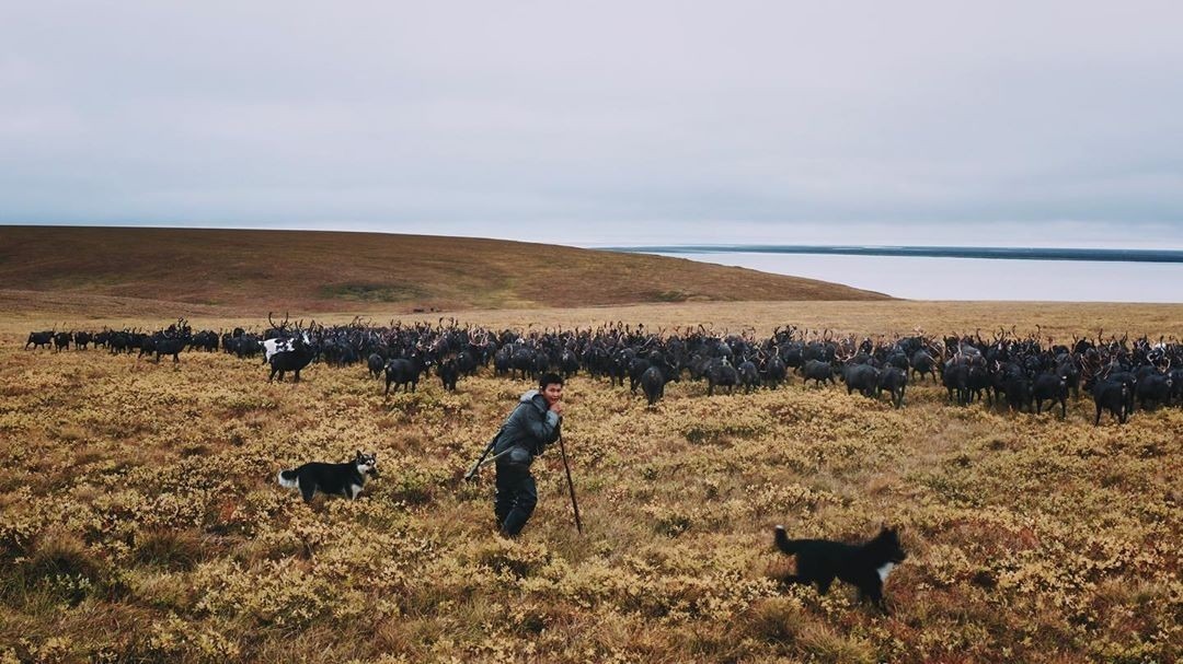 Documentary film by Alexander Fedorov about global warming “How to save the world: Kolyma and permafrost” - Yakutia, The national geographic, Discovery, Around the world, Geo, Kolyma, Global warming, Video, Longpost