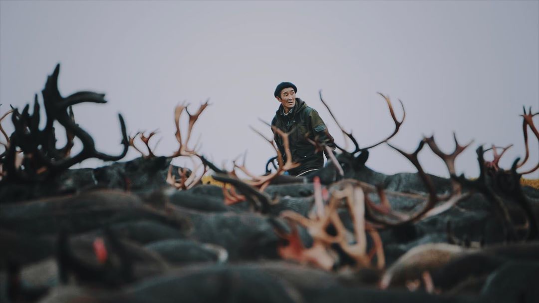 Documentary film by Alexander Fedorov about global warming “How to save the world: Kolyma and permafrost” - Yakutia, The national geographic, Discovery, Around the world, Geo, Kolyma, Global warming, Video, Longpost