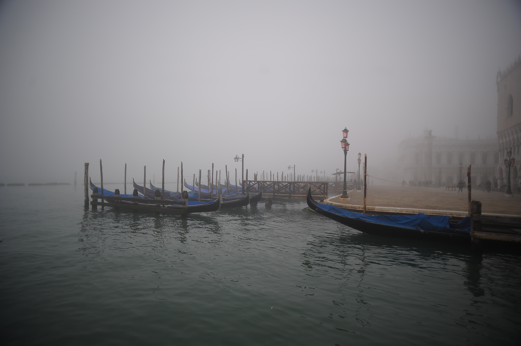 NOT a hedgehog, but in the fog - My, Venice, Longpost