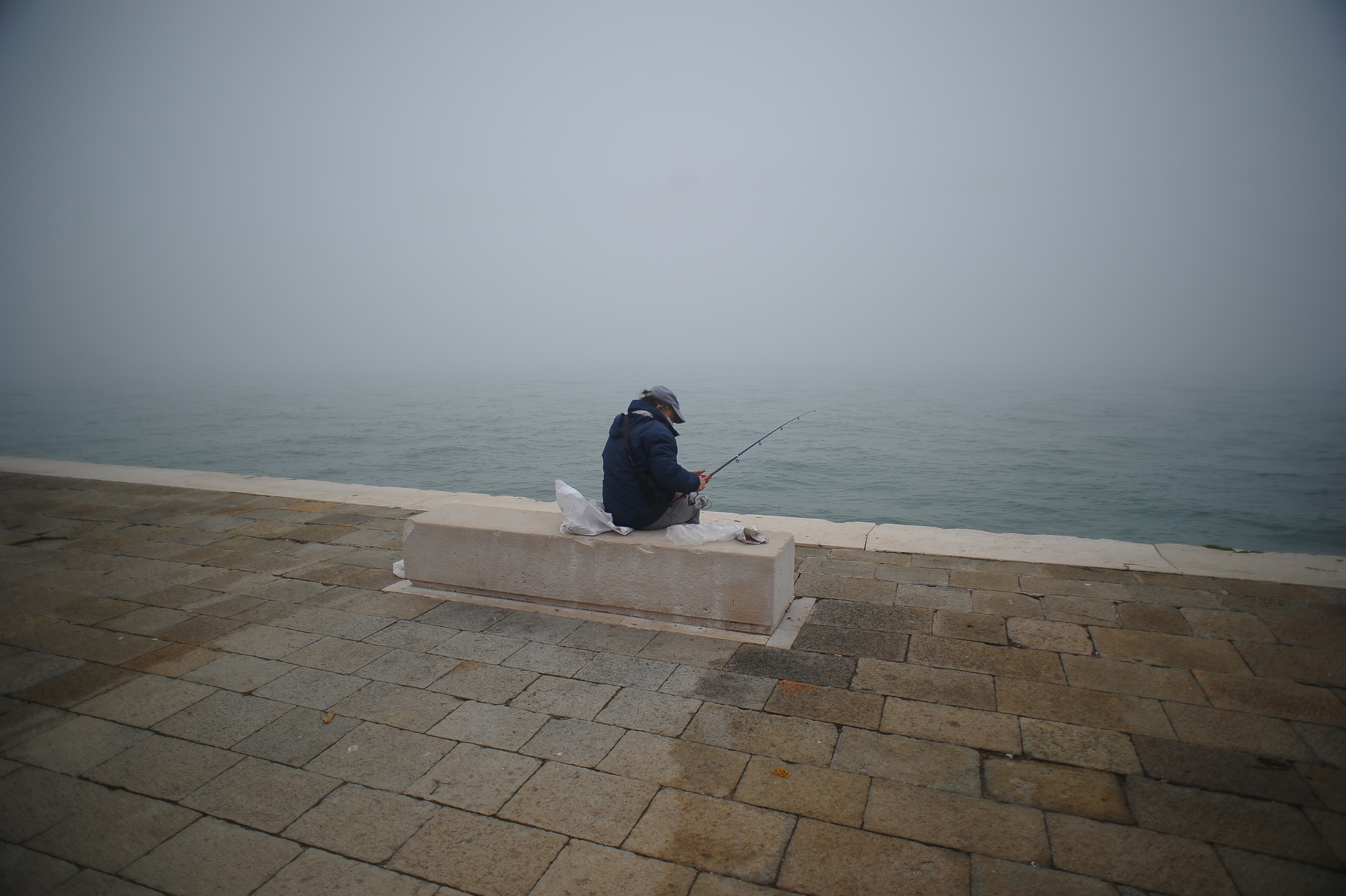 NOT a hedgehog, but in the fog - My, Venice, Longpost