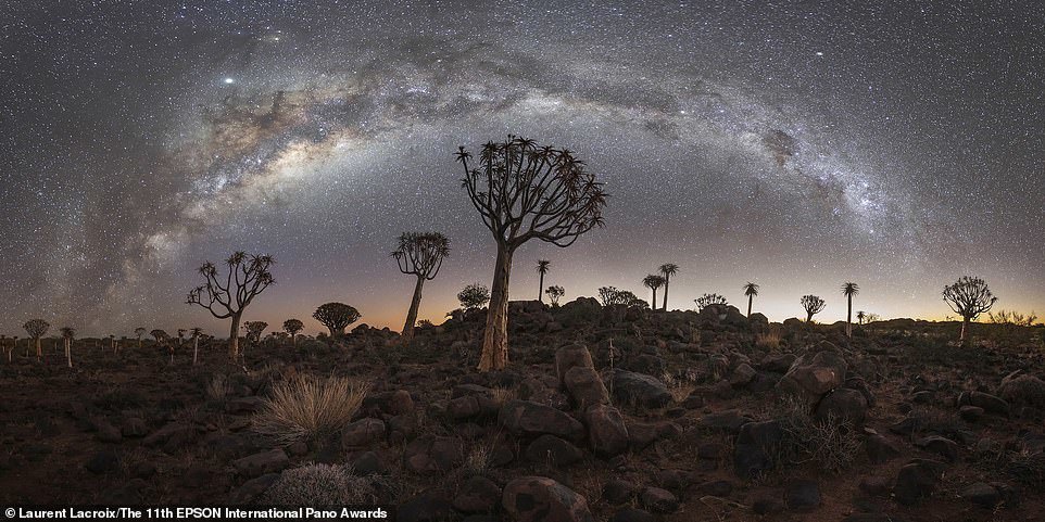 2020 Epson International Pano Awards Finalists - The photo, Nature, Панорама, Longpost