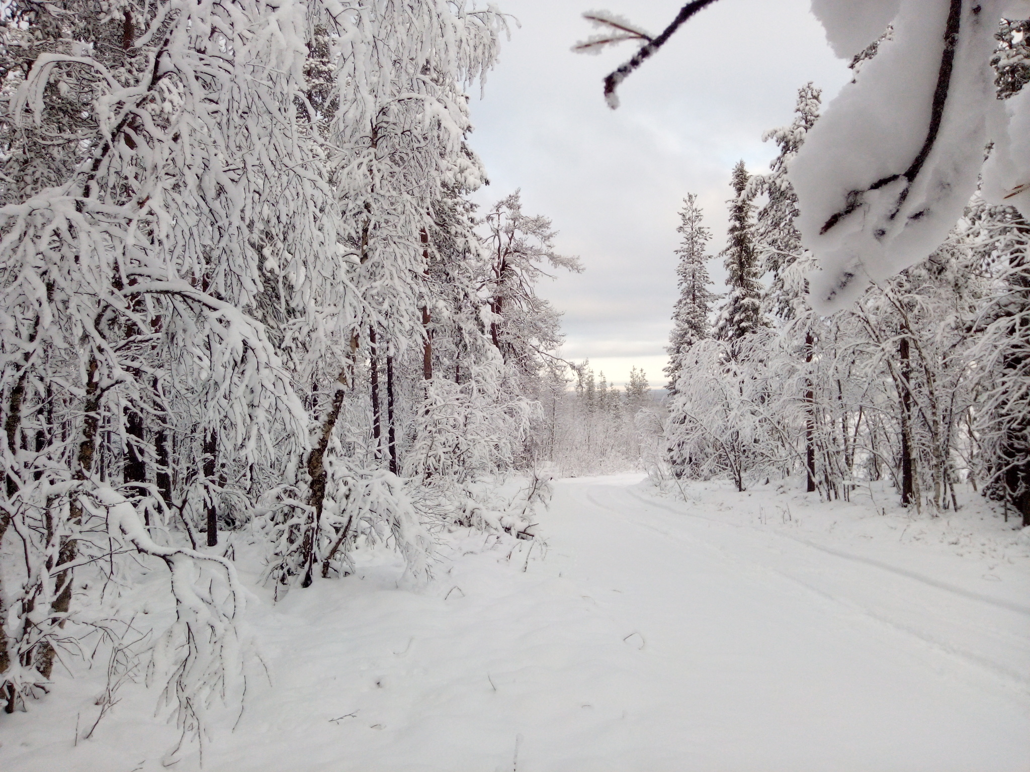 Winter on Kola - My, Winter, Kola Peninsula, Longpost, Mobile photography