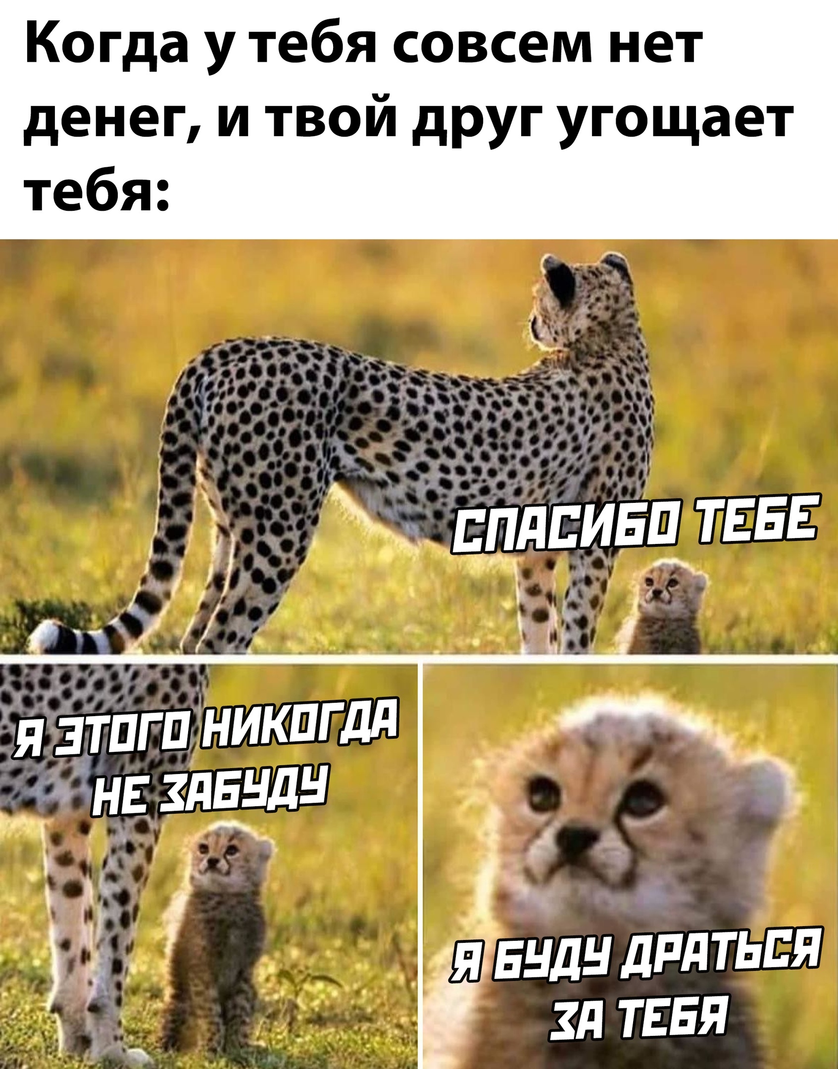 Друг на следующий день | Пикабу