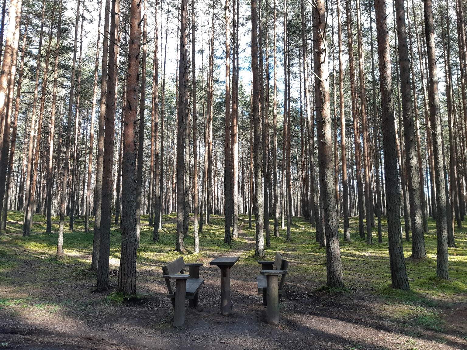 Скамеечное разнообразие Петербурга. Часть 2 - Моё, Скамейки, Санкт-Петербург, Фотография, Лавочка, Длиннопост