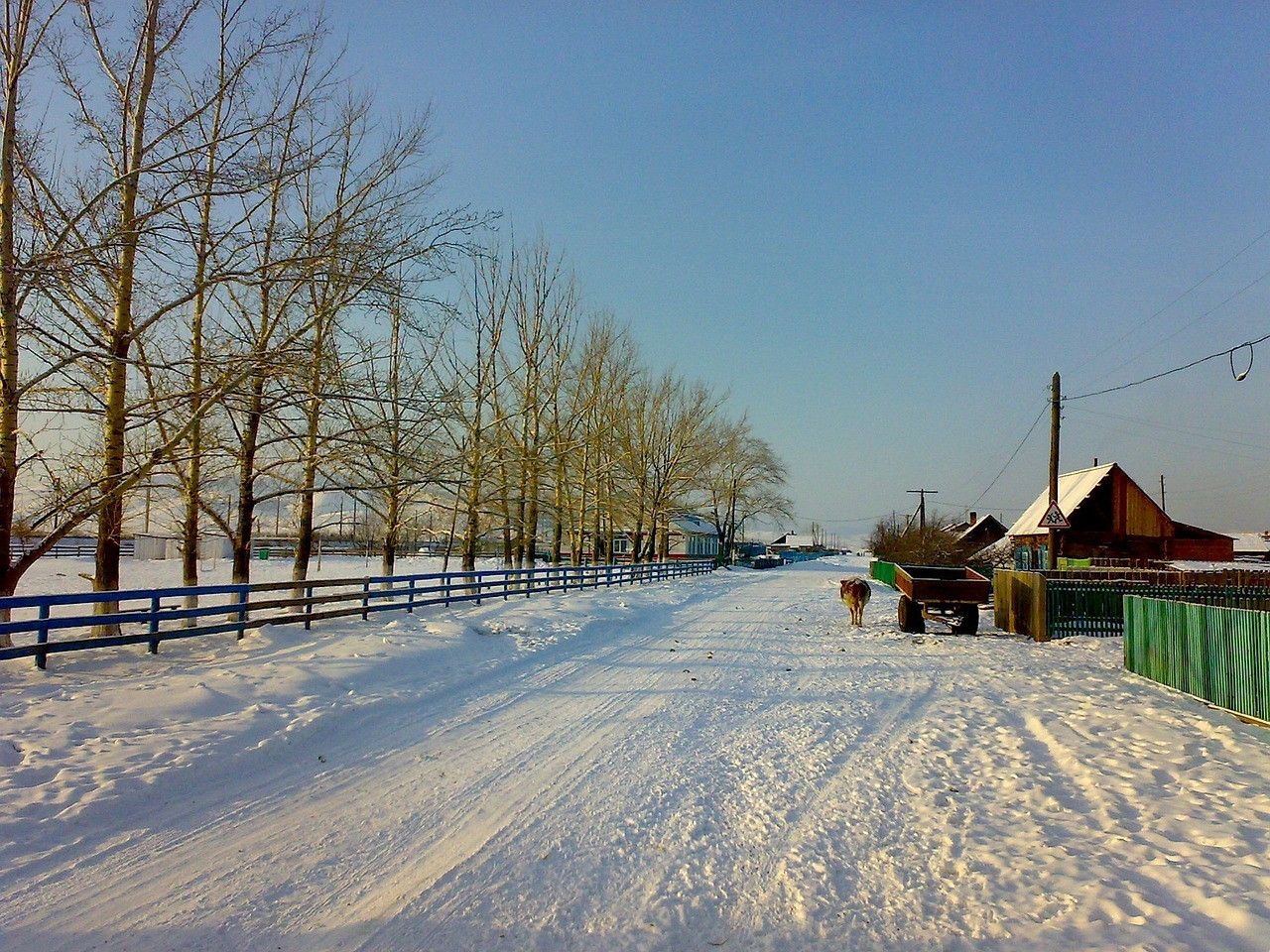 Should you be afraid of a remote village? - My, Сельское хозяйство, Farmer, Products, Village, Longpost