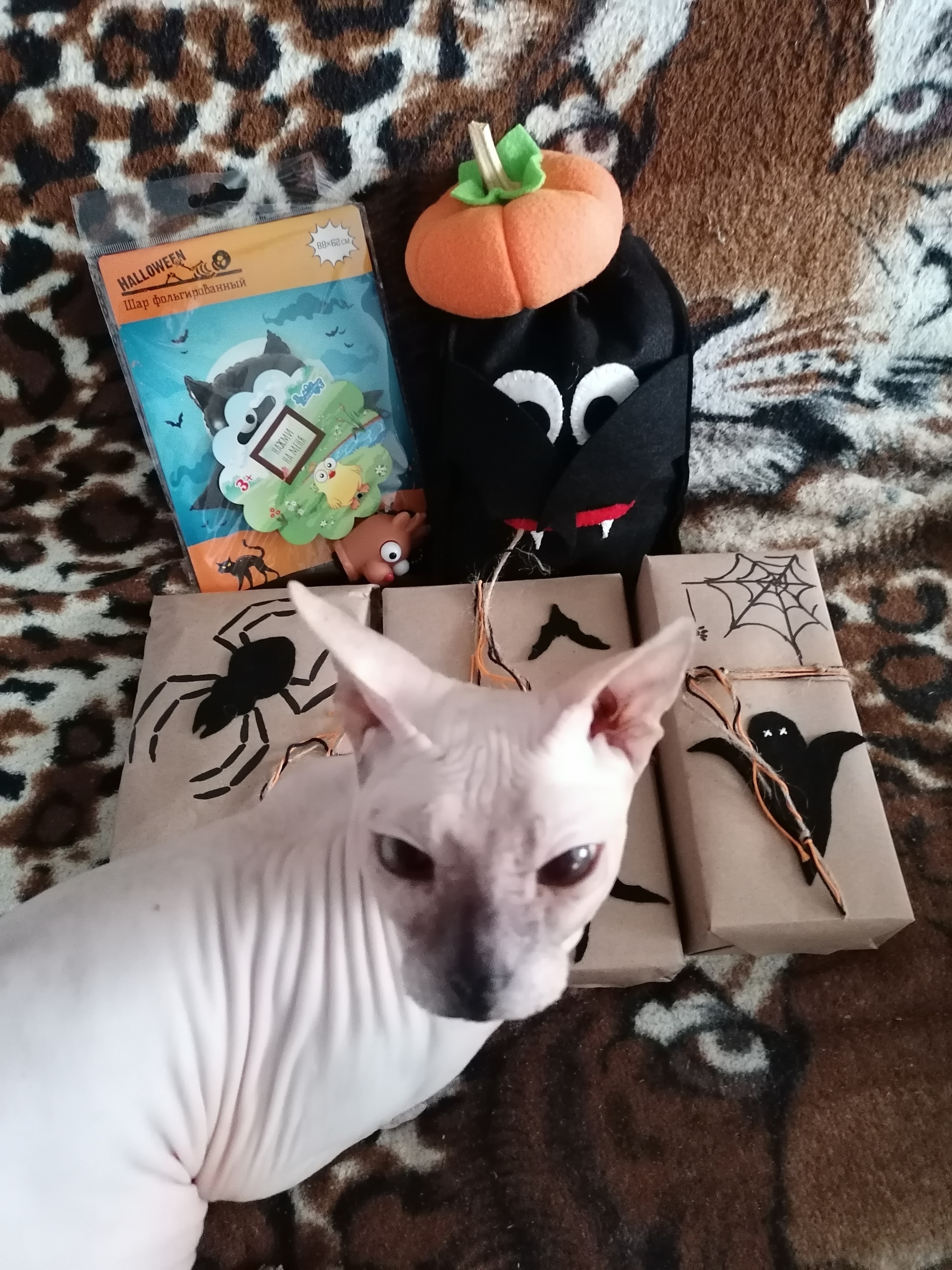 Halloween: Volgograd region. - Orenburg - My, Gift exchange report, Gift exchange, Presents, Halloween, Longpost