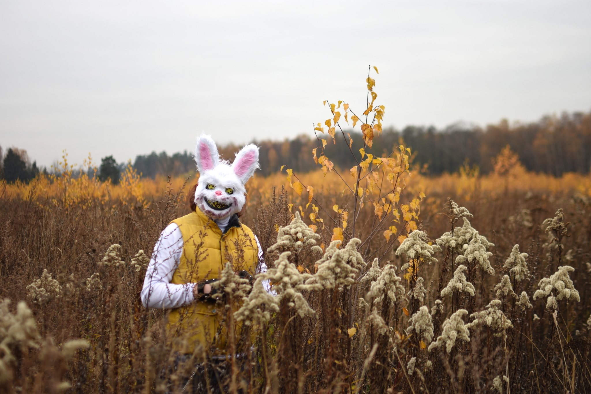 When walking around Losiny Island, beware of hares! - My, Halloween Contest, The photo, Halloween, Hare, Longpost, Halloween costume