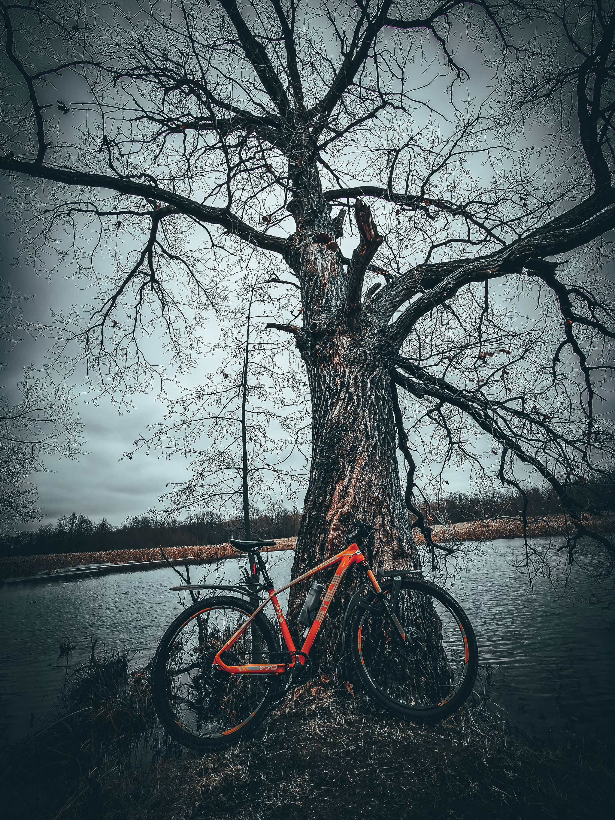 Morning, Sunday - My, Mobile photography, A bike, Autumn, Longpost