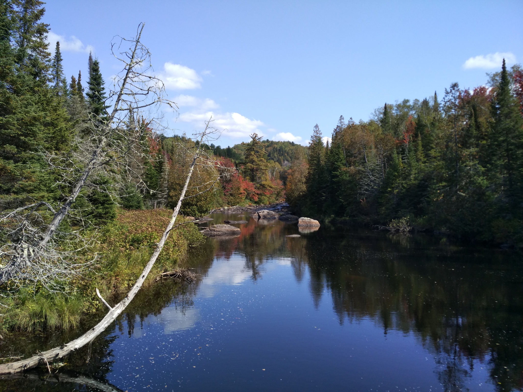 September nature in Quebec - My, Canada, The photo, Nature, Quebec, Longpost, River, beauty of nature