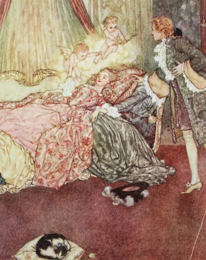 What is the plot of famous fairy tales really about? - Story, Middle Ages, Blue Beard, sleeping Beauty, Little Red Riding Hood, Classic, Literature, Legend, Longpost