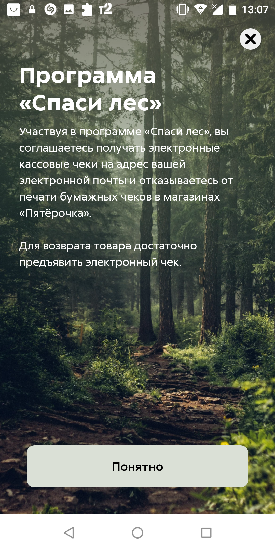 Сохранил лес с пятёрочкой - Моё, Пятерочка, Окружающая среда, Акции, Длиннопост