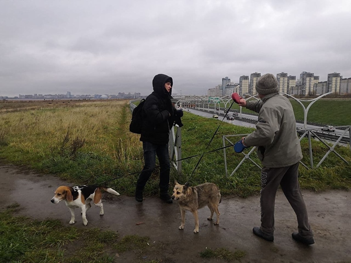 Residents of alluvial areas in St. Petersburg were prohibited from walking until 18:00 due to Putin’s visit - Politics, Saint Petersburg, Vladimir Putin, FSB, Society, Znakcom, Longpost, Icebreaker, Video