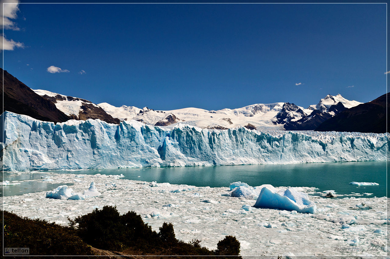 ирина ледник фото