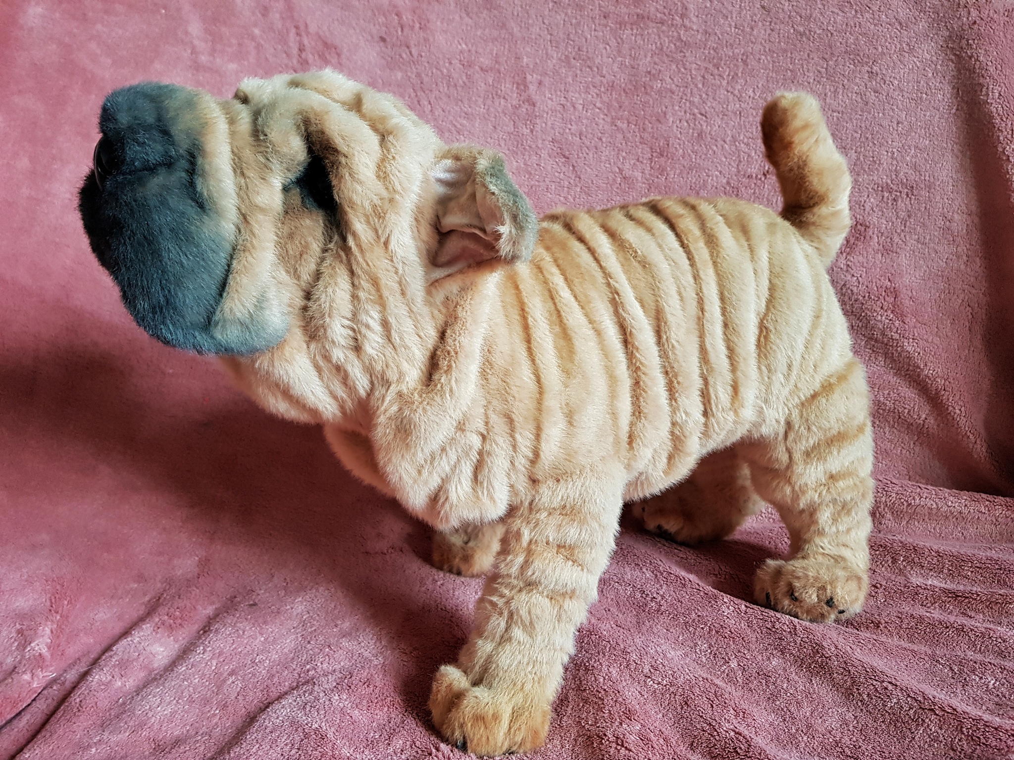 венгерская пастушья овчарка командор. болонка бишон фризе стрижка. мягкая игрушка собака бежевая. у каких собак мягкая шерсть. собака с круглой головой.