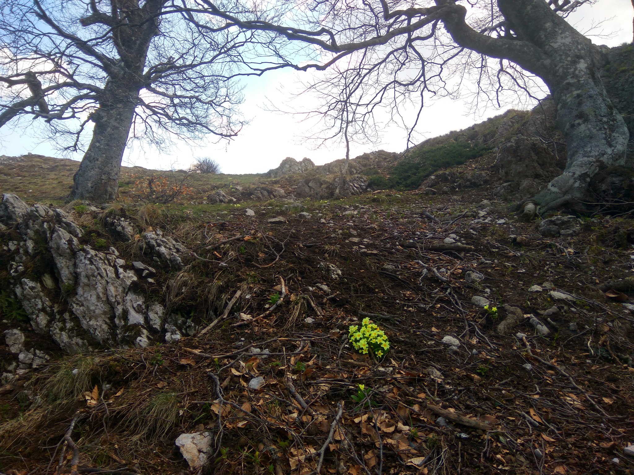 Crimea 2019. Day 3 part 2 “They teach a fool” - My, Crimea, Cold, Chatyr-Dag, Hike, Mat, Longpost