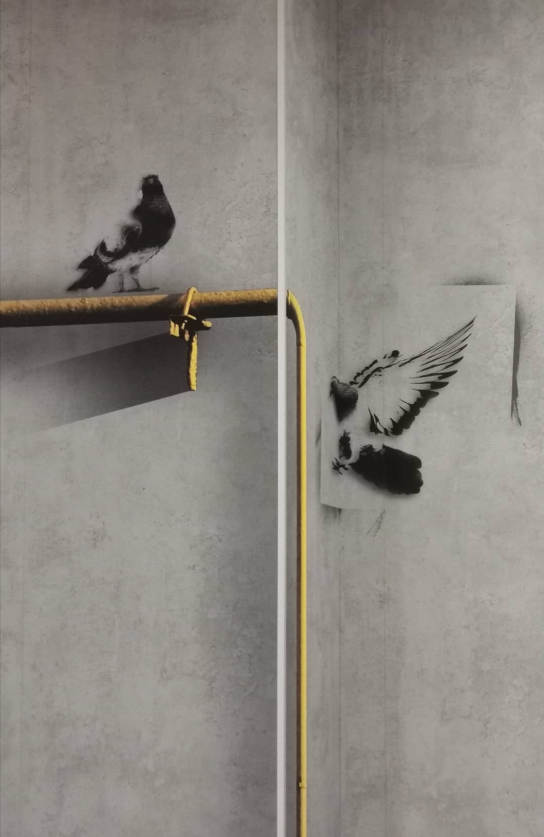 I want to talk to you about contemporary art... - My, The photo, Graffiti, Pigeon, Modern Art, Banksy