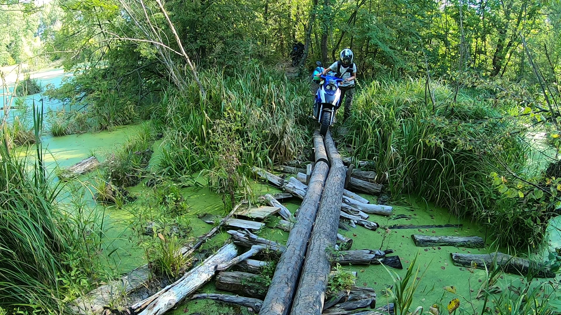 Motorcycle trip with a child. Trying the format, driving along the river - My, Moto, Travels, Adventures, Longpost