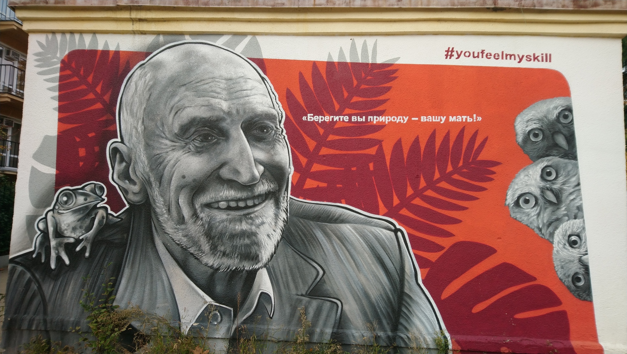 Nikolai Drozdov in graffiti - Nikolay Drozdov, Graffiti, Sochi