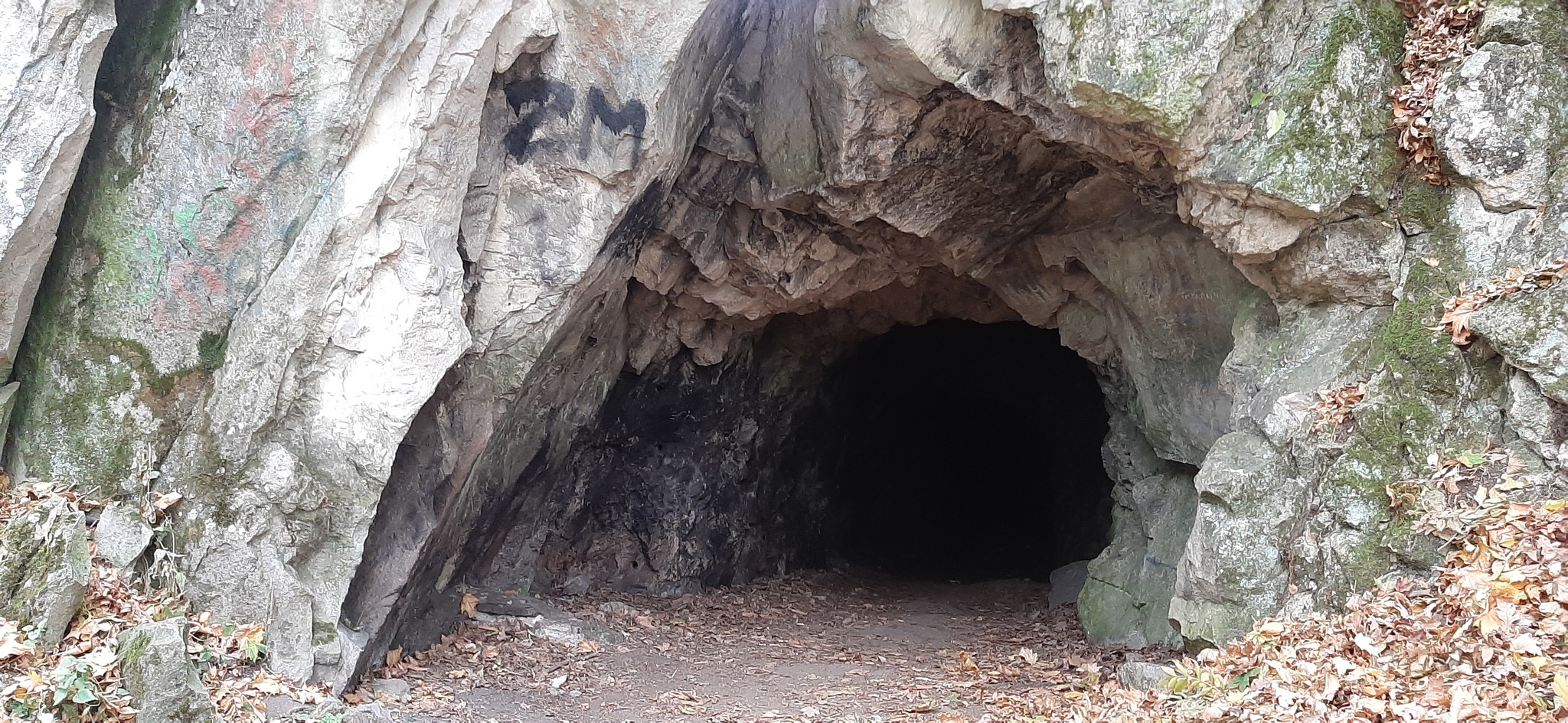 Mice - My, Zheleznovodsk, Caves, Bat, Longpost