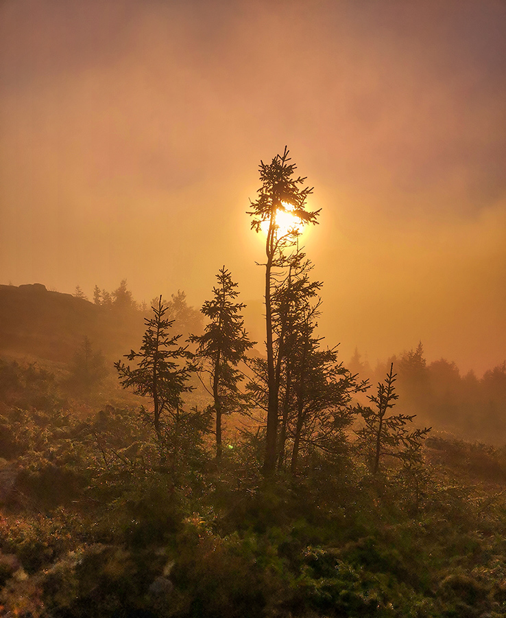 Taganay - My, Taganay National Park, Far Taganay, Travels, Landscape, The nature of Russia, dawn, Holidays in Russia, Wild tourism, Longpost