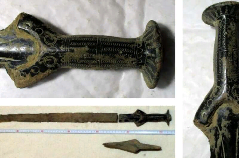 A resident of the Czech Republic went mushroom hunting and found a prehistoric sword - Facts, Story, Luck, Mushrooms, Czech