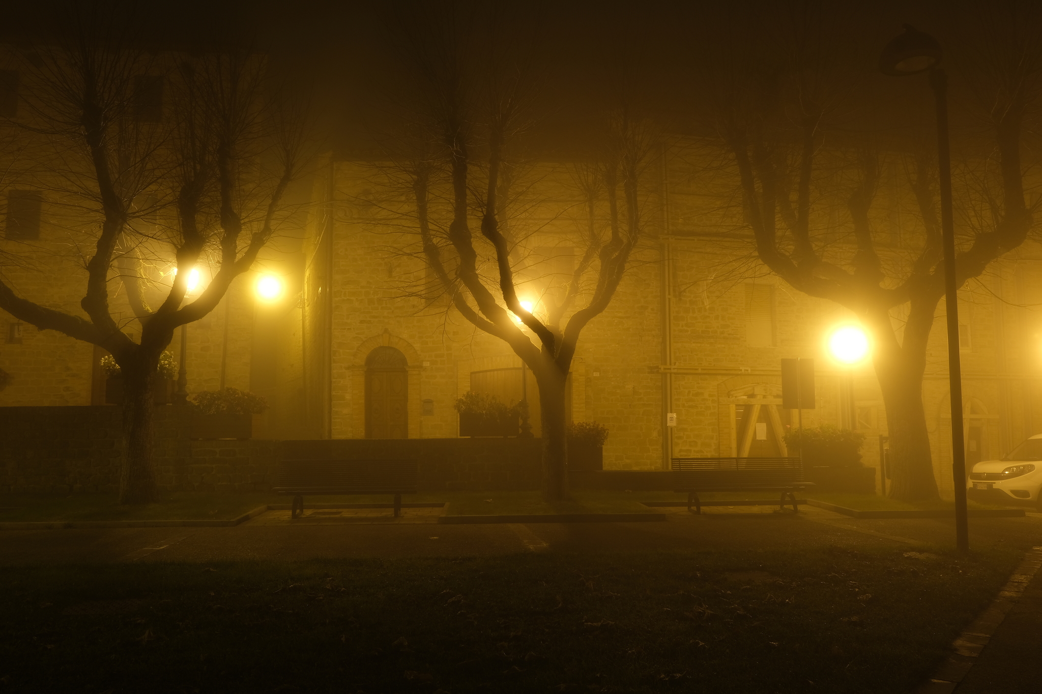 Night photos in the park in the fog - My, The photo, Autumn, The park, Longpost