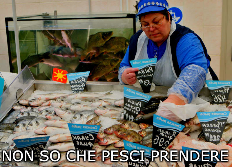 Why do Italians say goodnight to buckets and why is it so difficult to choose fish? - My, Italian language, Linguistics, Interesting, Yandex Zen, Longpost