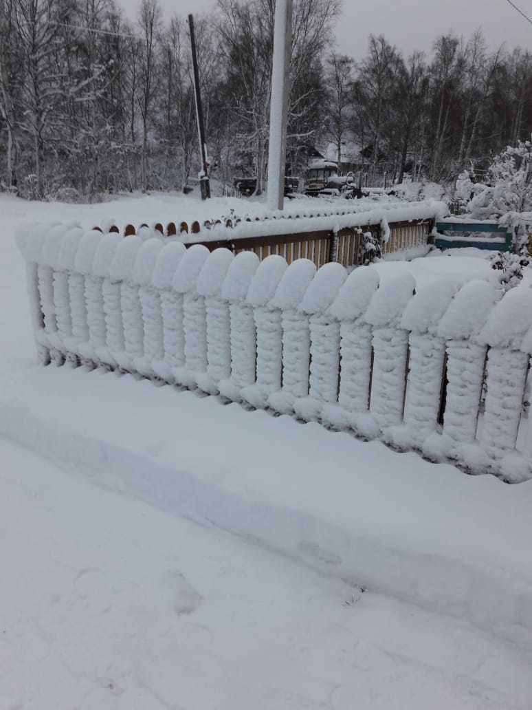 Great fence - My, Pareidolia, It seemed