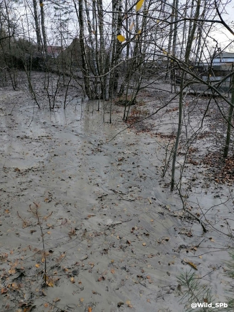 Бетоновая река | Пикабу