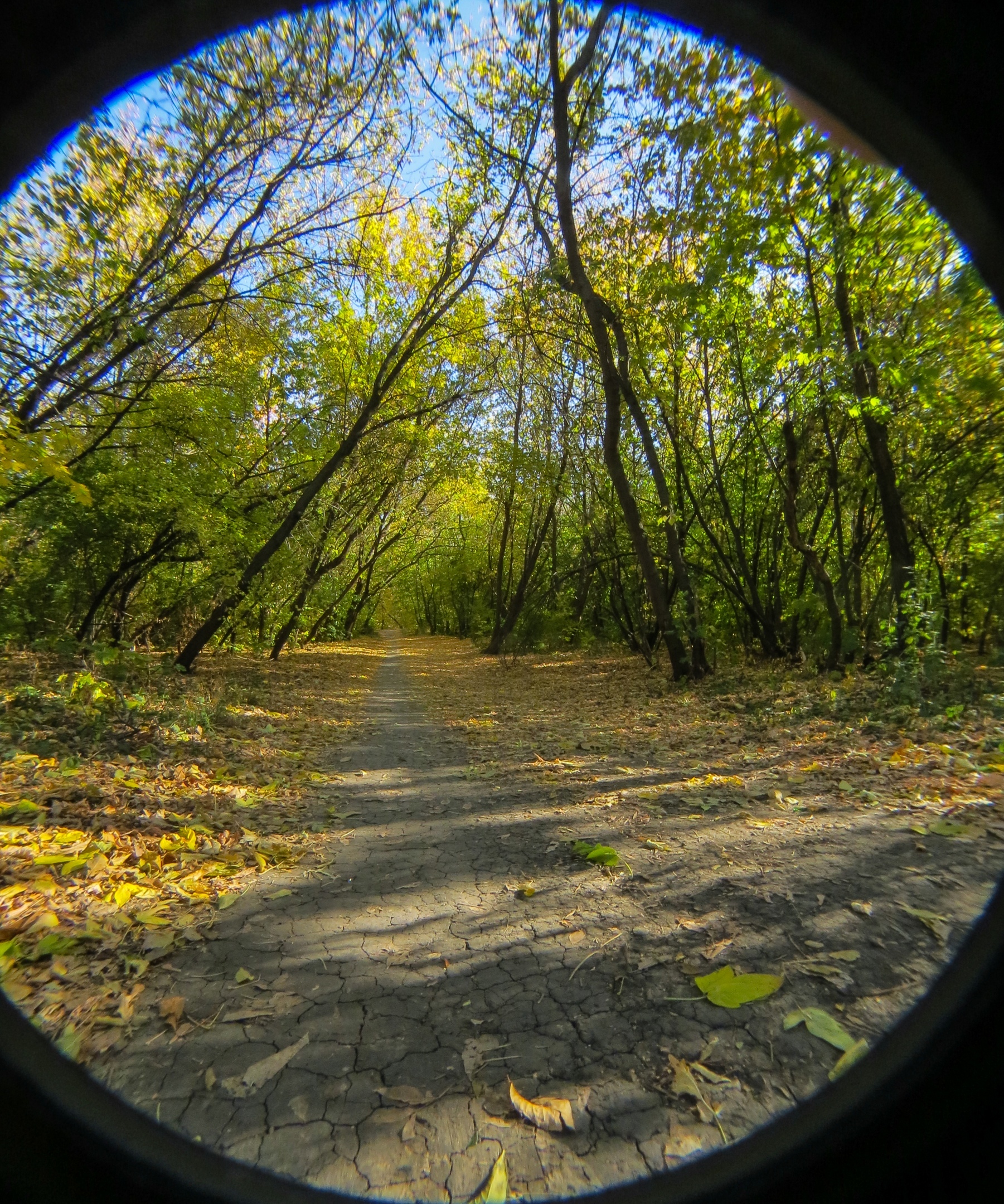 Wide-angle shots on a regular point-and-shoot camera - My, The photo, Wide-angle, Life hack, Photographic equipment, Experience, Experiment, Canon, Lenses, Lens, Longpost