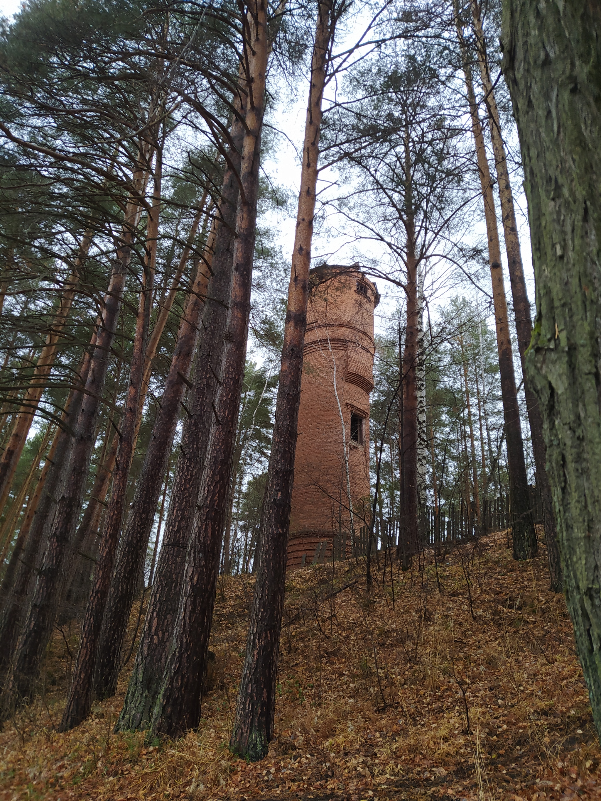 Sudden attack on the camp - Abandoned, Pioneer camp, beauty, Longpost