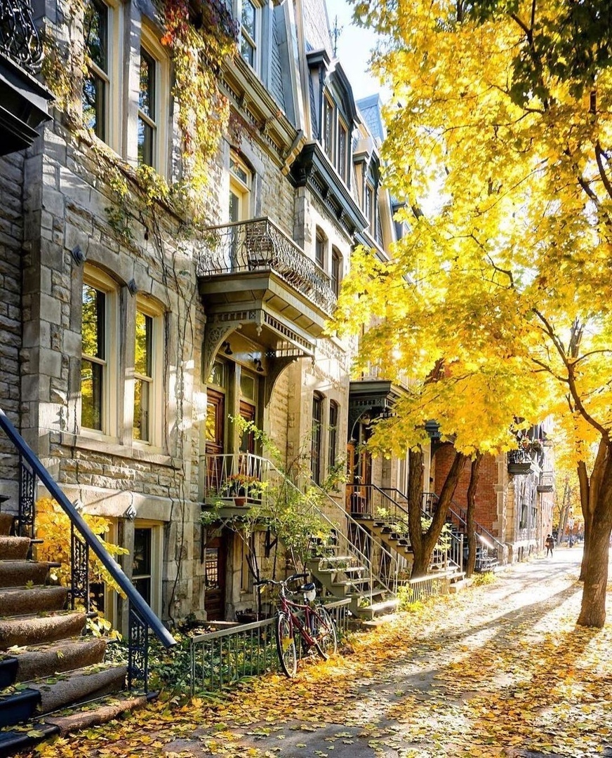 Montreal, Canada - Canada, Travels, Montreal, Autumn, Autumn leaves