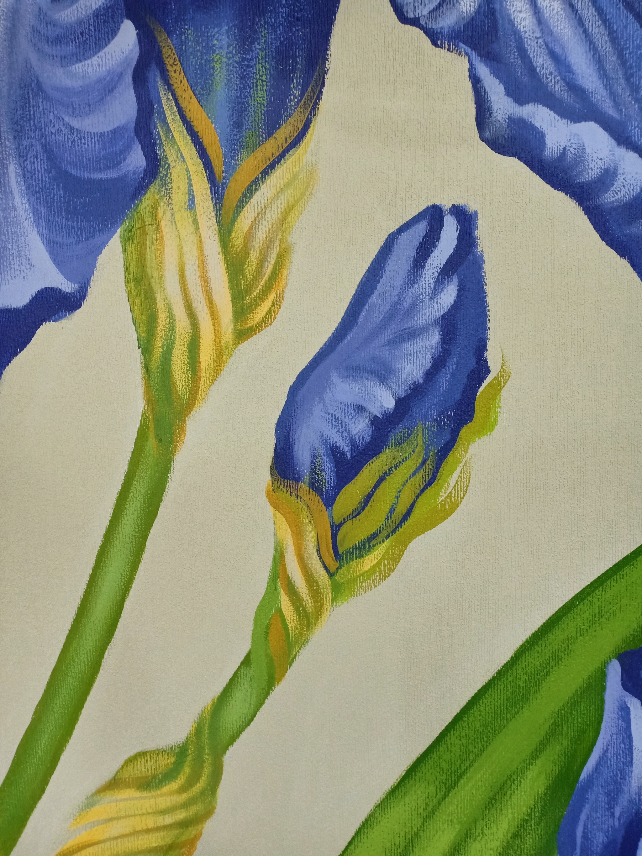 How I painted the wall - My, Wall painting, Painting, Art, Irises, Longpost