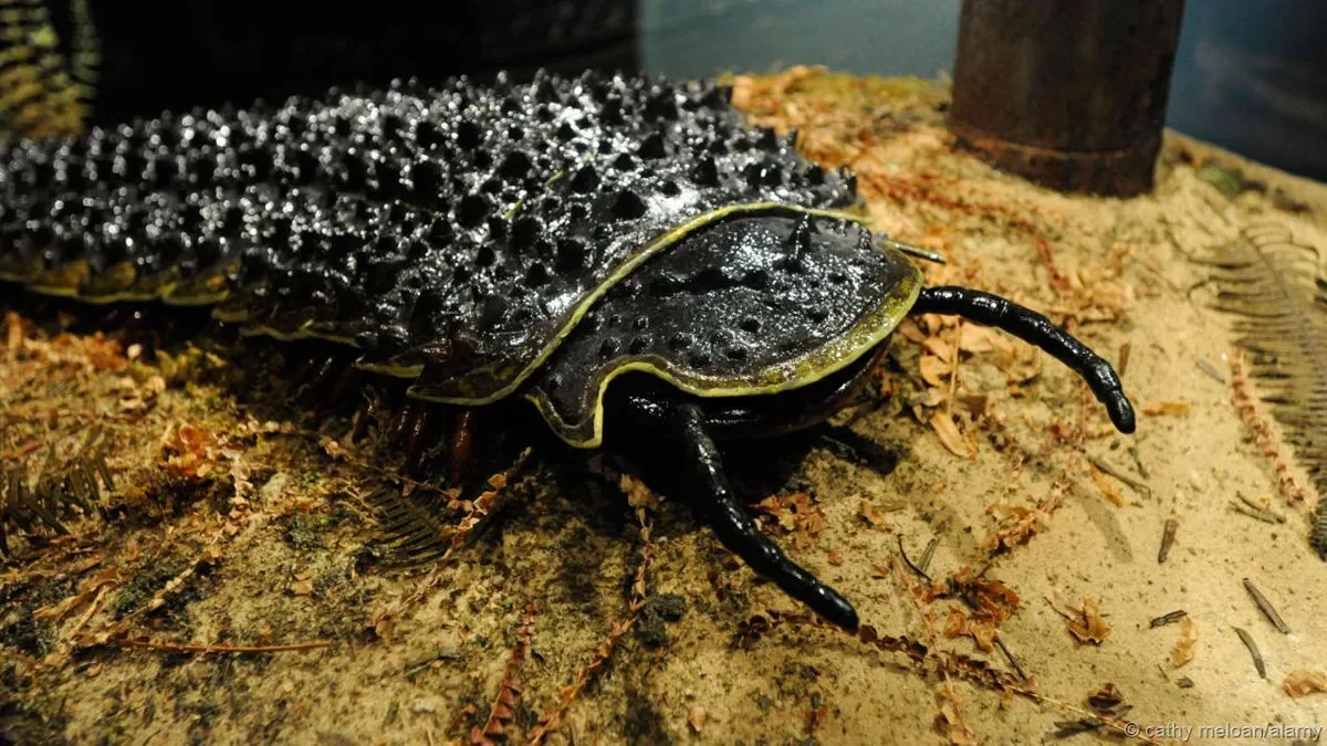 Arthropleura: Before dinosaurs there was even more tin. 2.5 meter armored centipede! - Arthropods, Centipede, Fossil, Animals, Yandex Zen, Longpost, Arthroplevra