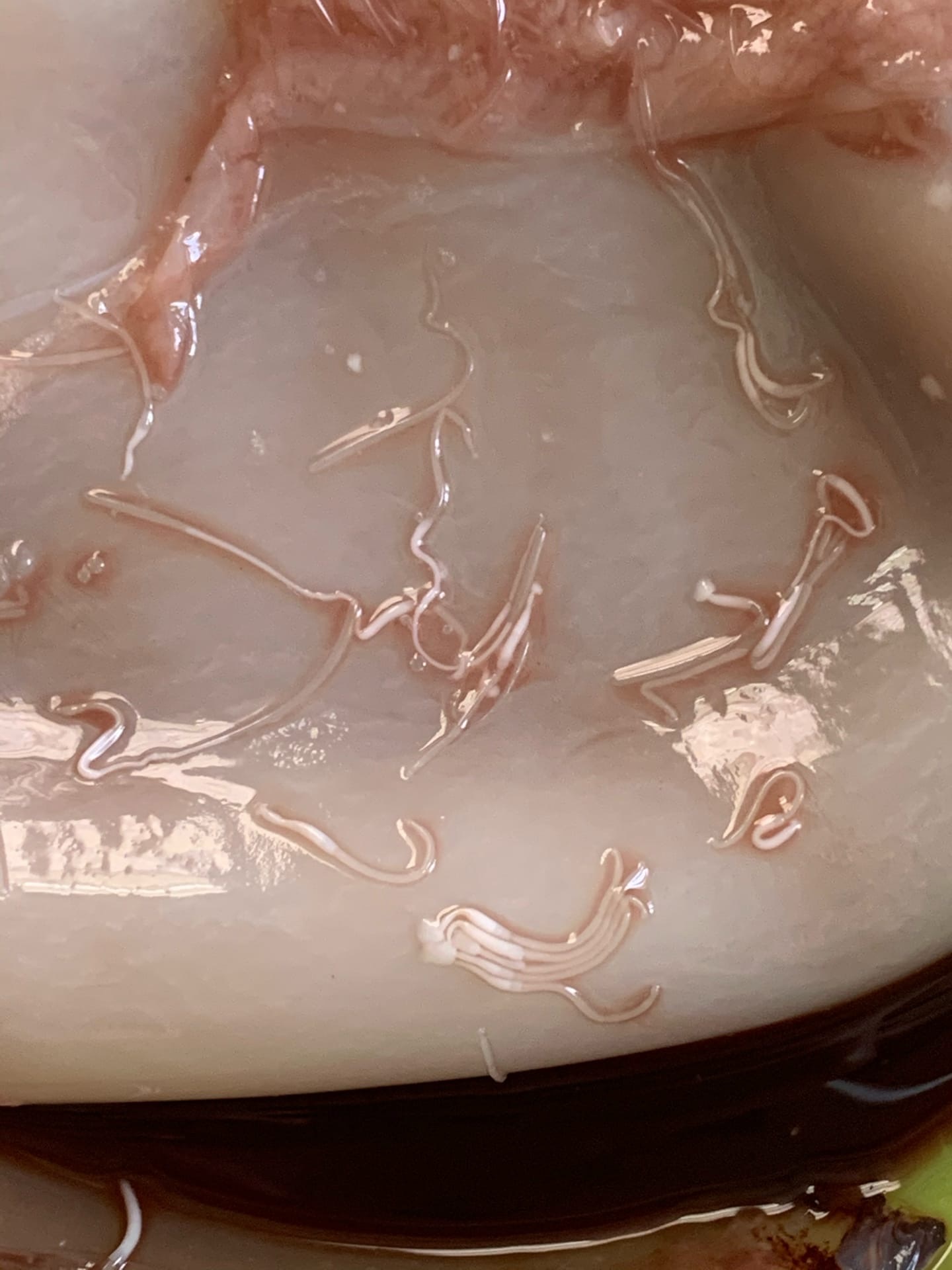 Порно фильм: Хатапетовкадан келген сауыншы