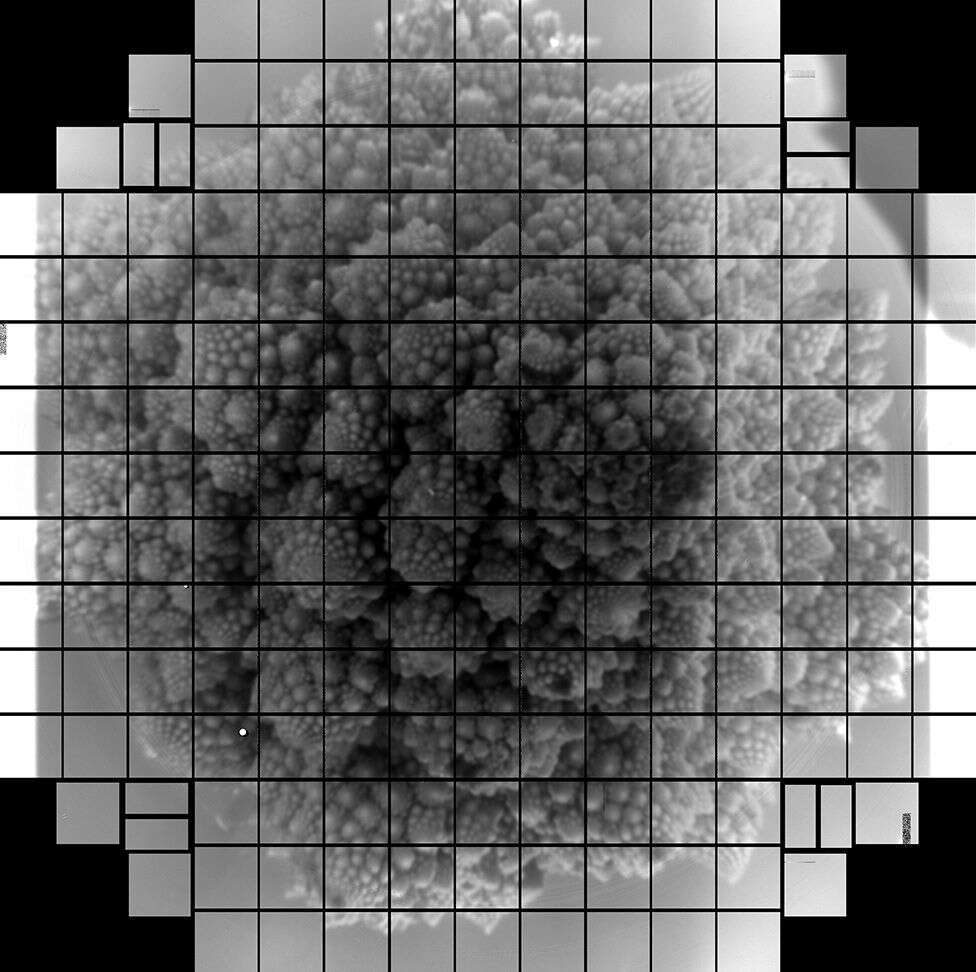 3200 megapixels: the camera with maximum resolution took its first photo - My, Camera, The photo, Astrophoto, The science, Space, Technologies, Longpost, Fractals