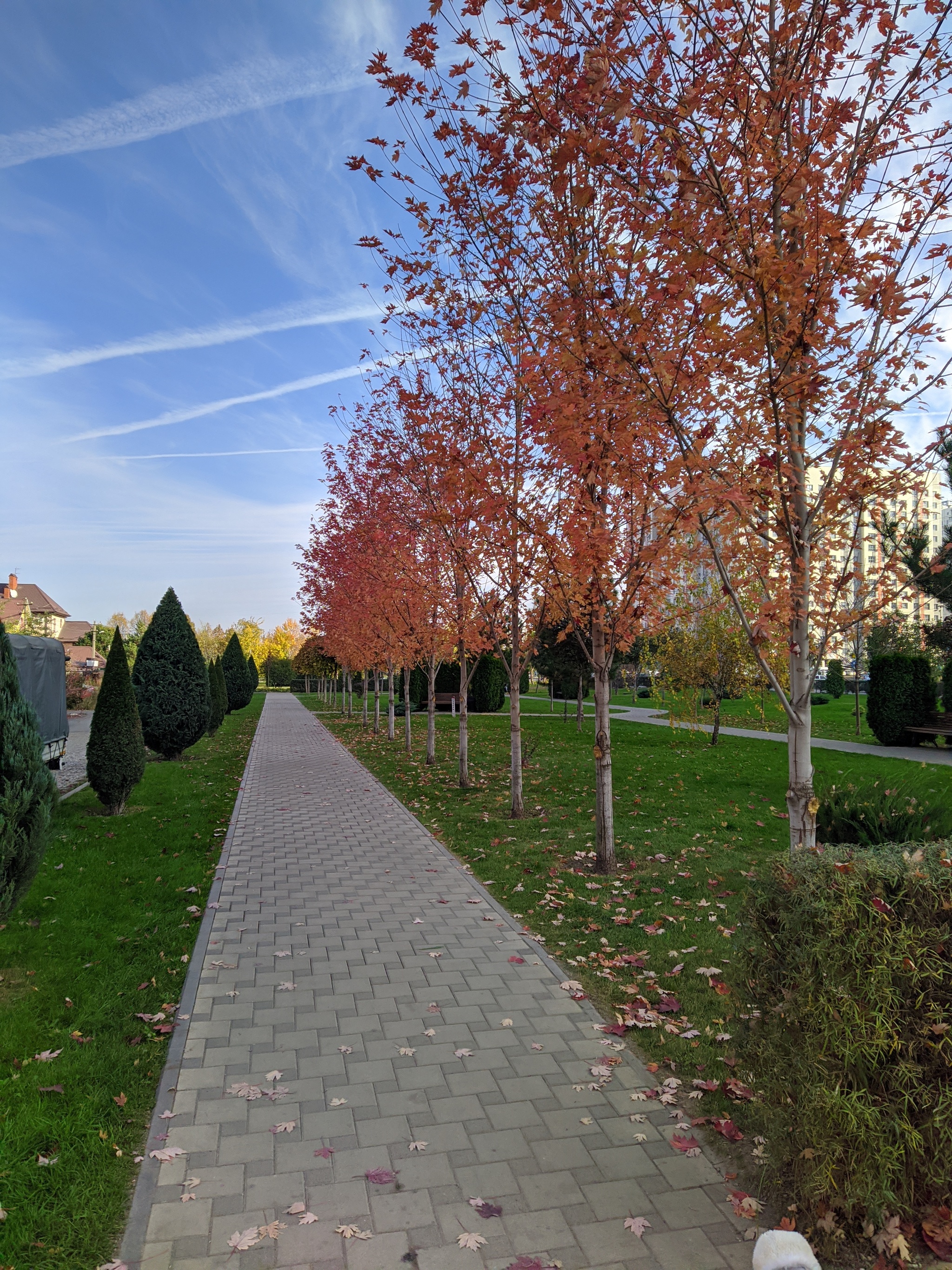 Autumn in Krasnodar - My, Autumn, Krasnodar, Краснодарский Край, Longpost