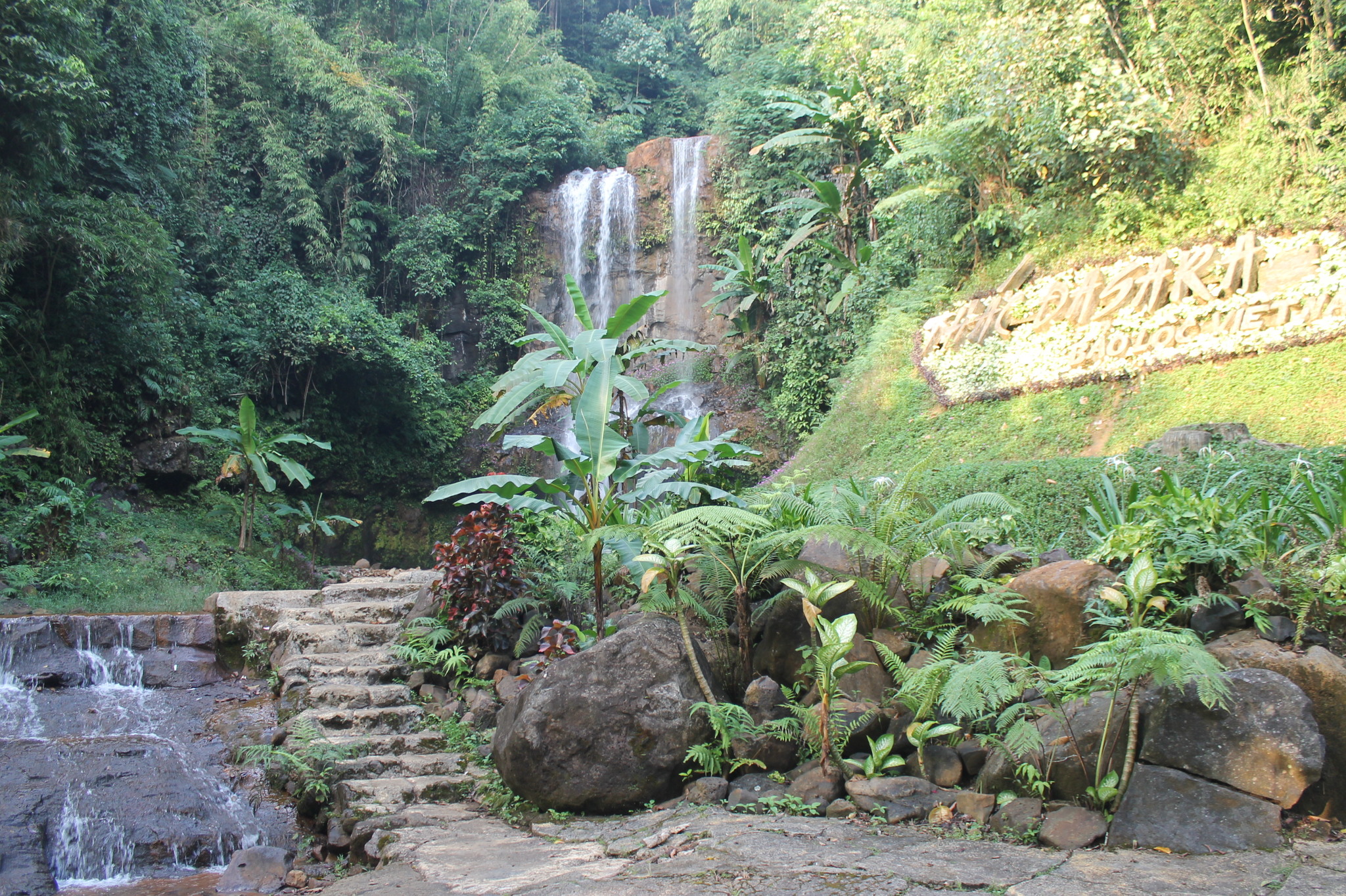 Dambri Park - waterfalls in the jungle. Vietnam - My, Vietnam, Asia, Travels, Nature, Longpost