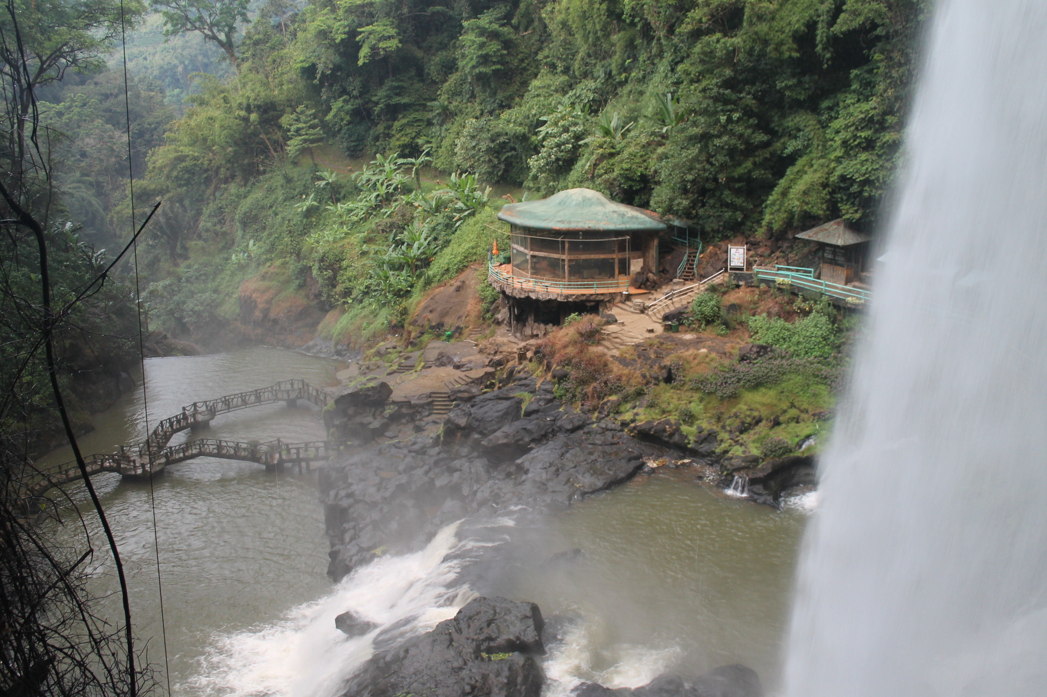 Dambri Park - waterfalls in the jungle. Vietnam - My, Vietnam, Asia, Travels, Nature, Longpost