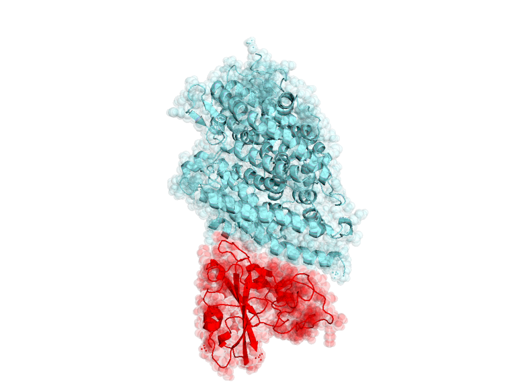 Folding@Home SARS-CoV-2 Update (March 10, 2020) - The science, Update, Coronavirus, Github, Repository, Screening, Longpost, Folding(at)home