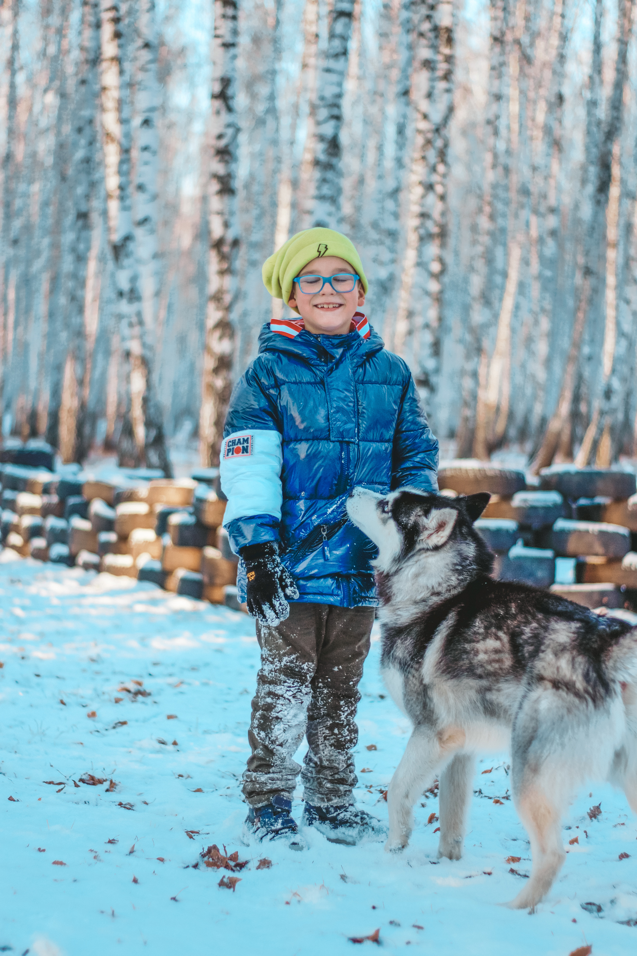 Winter tramps - My, Dog, Snow, The photo, Husky, Jack Russell Terrier, Doberman, Children, Longpost