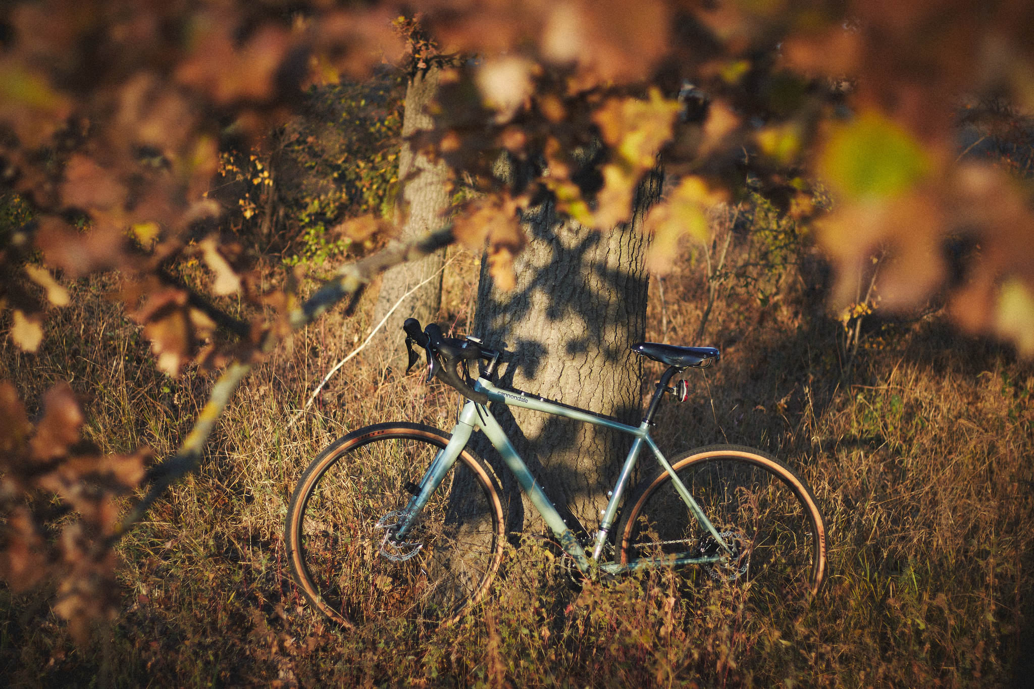 Autumn weekend ride - My, Autumn, A bike, Pokatushki, Nature, The photo, Longpost